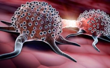 Cover image of What drives tumour metastasis?